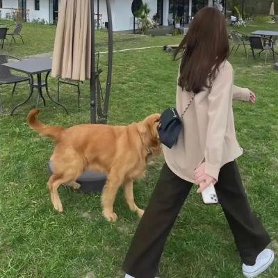 他比时光更深情